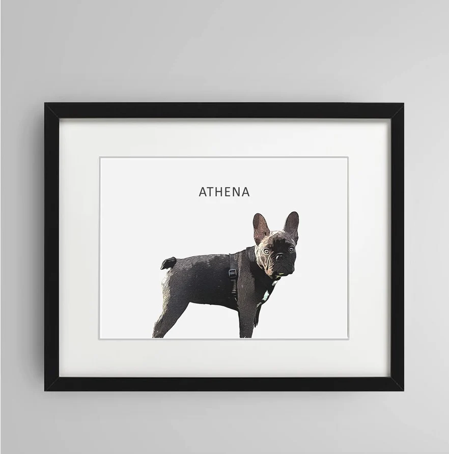 Personalised Pet Portrait - Image 4
