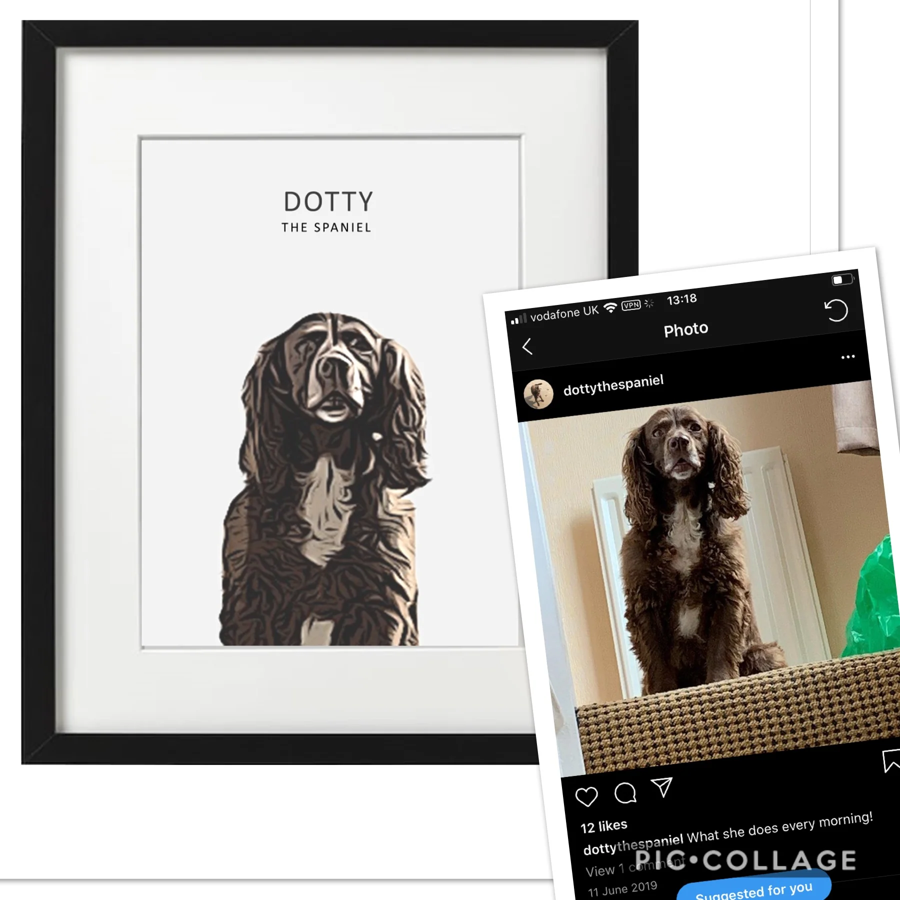 Personalised Pet Portrait - Image 7