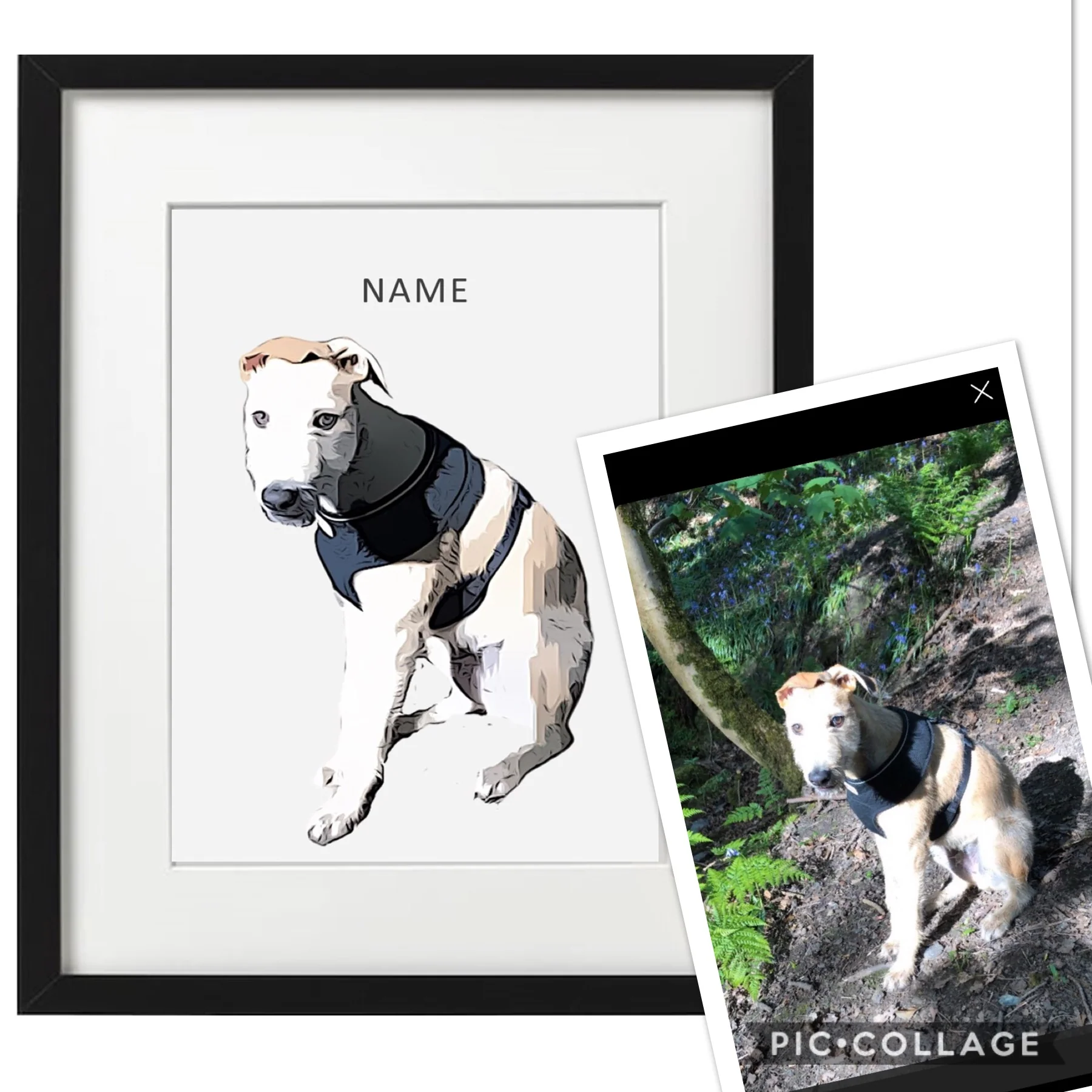 Personalised Pet Portrait - Image 8